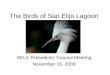 The Birds of San Elijo Lagoon SELC Presidents Council Meeting November 10, 2009