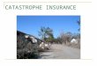 CATASTROPHE INSURANCE Insurance 101 The Myth: RISK PURE RISK - chance of a loss – usually computed in $$$. SPECULATIVE RISK – chance of a loss or gain