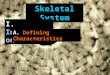 Skeletal System I. Introduction A. Defining Characteristics