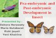 Pra-embryonic and Post-embryonic Development in Insect
