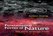 Fundamental Forces of Nature - The Story of Gauge Fields, Huang