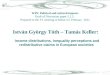 István György Tóth – Tamás Keller: Income distributions, inequality perceptions and redistributive claims in European societies WP5: Political and cultural