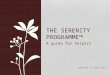 A guide for helpers THE SERENITY PROGRAMME Updated 7 th June 2013