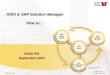 ARIS  SAP Solution Manager - How to Integrate