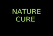 NATURE CURE. VEDAS Ayurveda Medicine (3000-1000 BC) ayur (life) and veda (science). Sacred medicine from Ancient India. Holistic philosophy embracing