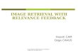 Image Retrieval With Relevant Feedback Hayati Cam & Ozge Cavus IMAGE RETRIEVAL WITH RELEVANCE FEEDBACK Hayati CAM Ozge CAVUS