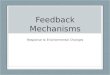 Feedback Mechanisms Response to Environmental Changes
