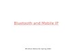 Wireless Networks Spring 2005 Bluetooth and Mobile IP