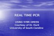 1 REAL TIME PCR USING SYBR GREEN Courtesy of Dr. Hunt University of South Carolina