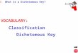 AIM: What is a Dichotomous Key? VOCABULARY: Classification Dichotomous Key
