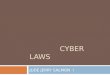 Cyber Laws - Part I