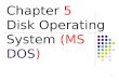1 Chapter 5 Disk Operating System (MS DOS). 2 Disk Operating System (DOS) In the 1980s or early 1990s, the operating system that shipped with most PCs