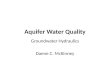 Aquifer Water Quality Groundwater Hydraulics Daene C. McKinney