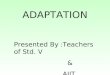 ADAPTATION Presented By : Teachers of Std. V & AIIT