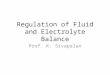 Regulation of Fluid and Electrolyte Balance Prof. K. Sivapalan