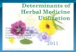 Determinants of Herbal Medicine Utilization
