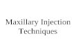Maxillary Injection Techniques. Anatomy Atraumatic Injection Protocol