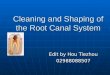 Cleaning and Shaping of the Root Canal System Edit by Hou Tiezhou 02988088507