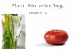 Plant Biotechnology Chapter 6. Motivation for genetically engineered crops Agriculture is the biggest industrial sector in the world –$1.3 trillion of