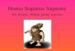 Homo Sapiens Sapiens By: Kristin, Willow, Jarod, and Zac