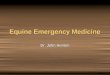 Equine Emergency Medicine Dr. John Henton. Equine First Aid Kit As Suggested By Dr. John Henton