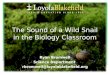 The Sound of a Wild Snail in the Biology Classroom Ryan Bromwell Science Department rbromwell@loyolablakefield.org
