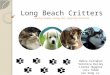 Long Beach Critters Caring People, Loving Pets, Inspiring Solutions Debra Callahan Veronica Dailey Lorrie Huggins Luis Tobon Leo Song Jr