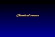 Chemical senses. Olfaction and taste I. olfaction and taste (or gustation) means attachment and detection of molecules from the outside world by their