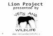 Www.vetsandwildlife.co.za Lion Project presented by
