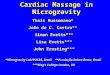 Cardiac Massage in Microgravity Thais Russomano* João de C. Castro** Simon Evetts*** Lisa Evetts*** Lisa Evetts*** John Ernsting*** *Microgravity Lab/PUCRS,