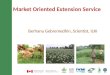 Market Oriented Extension Service Berhanu Gebremedhin, Scientist, ILRI
