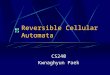 Reversible Cellular Automata CS240 Kwnaghyun Paek