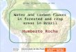Water and carbon fluxes in forested and crop areas in Brazil Humberto Rocha Chicago, Illinois/US, 12-13 Jun 2012