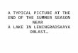 A TYPICAL PICTURE AT THE END OF THE SUMMER SEASON NEAR A LAKE IN LENINGRADSKAYA OBLAST…