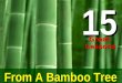 15 From A Bamboo Tree GreatLessons. Bamboo was used since ancient times. A highly useful material, it has been used by man and is still being used for