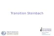 Transition Steinbach Bruce Duggan Director BullerCentre.com