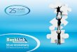 BankLink Update Financial Institutions Update The Accounting Solutions Marketplace Enhancements to The BankLink Service Introducing BankLinks Wages Product