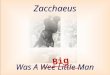 Zacchaeus Was A Wee Little Man Big. Zacchaeus was a wee little man, and a wee little man was he; He climbed up in the sycamore tree, for the Lord he wanted