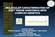 MOLECULAR CARACTERISATION OF SOFT TISSUE SARCOMAS WITH COMPLEX GENETICS Frédéric Chibon Pauline Lagarde - Jean-Michel Coindre - Alain Aurias Tumor Genetics