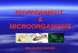 ENVIRONMENT & MICROORGANISMS Doç.Dr.Hrisi BAHAR. MICROORGANISMS The word microorganism is used to describe an organism that is so small that can not be