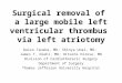 Surgical removal of a large mobile left ventricular thrombus via left atriotomy Daizo Tanaka, MD; Shinya Unai, MD; James T. Diehl, MD; Hitoshi Hirose,
