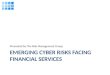 EMERGING CYBER RISKS FACING FINANCIAL SERVICES Presented by The Risk Management Group