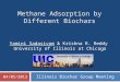 Methane Adsorption by Different Biochars Illinois Biochar Group Meeting Yamini Sadasivam & Krishna R. Reddy University of Illinois at Chicago 04/05/2013