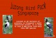 Located on 20 hectares of greenery in Singapore's model industrial estate, it is home to over 8,000 birds from more than 600 species