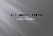 Kelsey Bridges. Tooth Vocabulary and Tooth Structure Tooth Vocabulary and Tooth Structure Dental Diseases and Pictures Dental Diseases and Pictures My