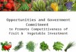 Opportunities and Government Commitment to Promote Competitiveness of Fruit & Vegetable Investment
