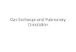 Gas Exchange and Pulmonary Circulation. Learning Objectives Understand diffusion and the rate of diffusion. Understand gas pressure and partial pressure,