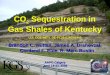 CO 2 Sequestration in Gas Shales of Kentucky Brandon C. Nuttall, James A. Drahovzal, Cortland F. Eble, R. Marc Bustin U.S. DOE/NETL DE-FC26-02NT41442 AAPG