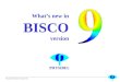 Physibel BISCO version 9w Whats new in BISCO version PHYSIBEL