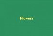 Flowers. Basic structure of the angiosperm flower The fertilization process Pollen and stigma self-incompatibility Reproduction and diversity of angiosperms